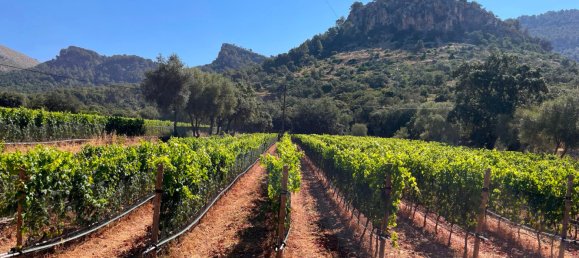 7 غرف نوم تاون هاوس في Es Capdella, Spain رقم 157262 23