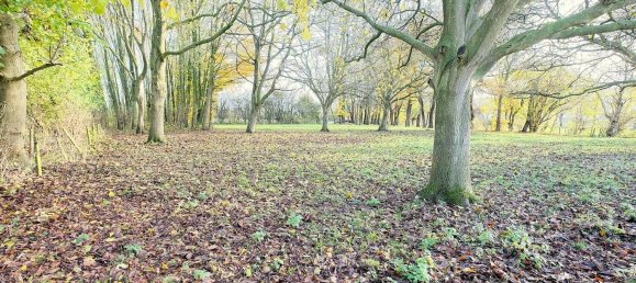 4 Schlafzimmer Bungalow in Kleve, Germany, Nr. 150289 29