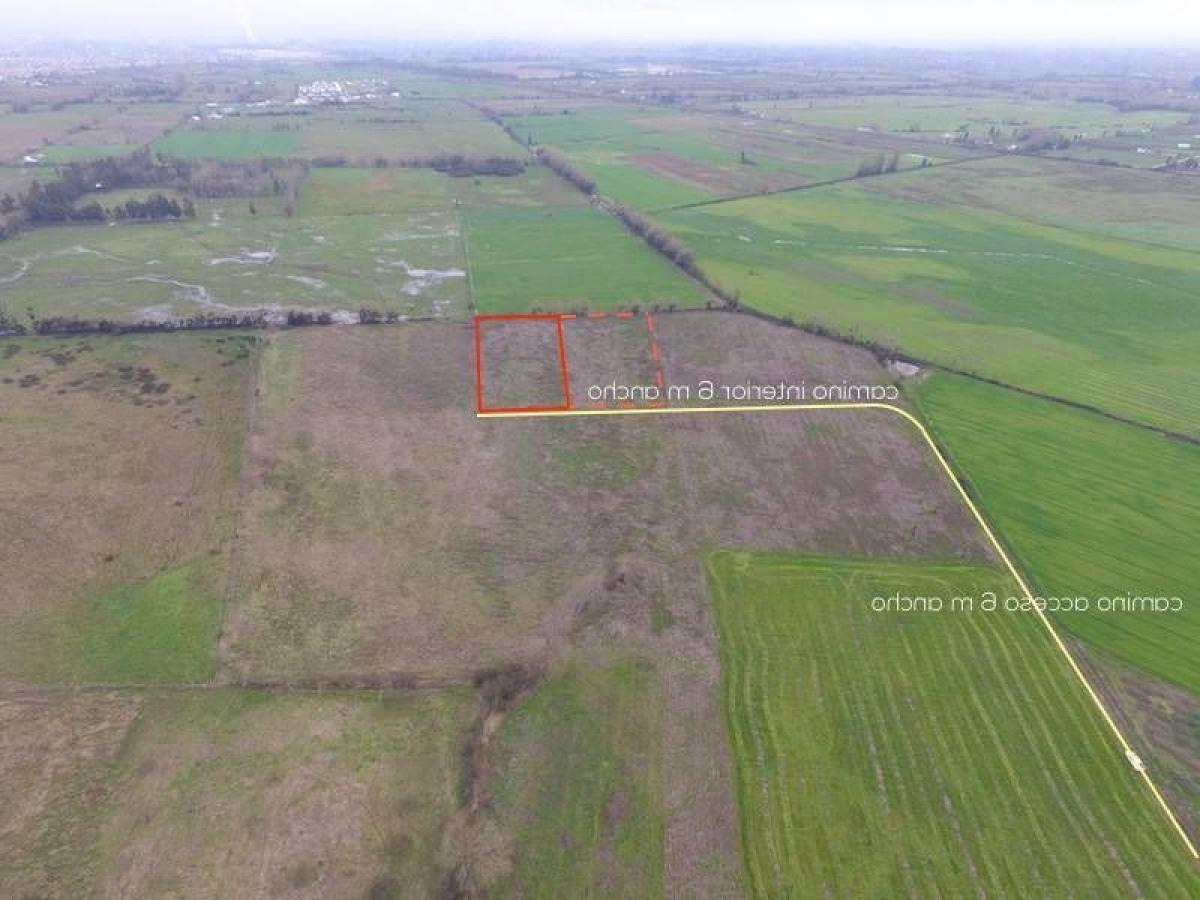  Land in Maule, Chile No. 1330