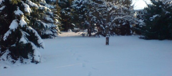 Бунгало с 1 спальней в Лейпциг, Германия № 371884 13