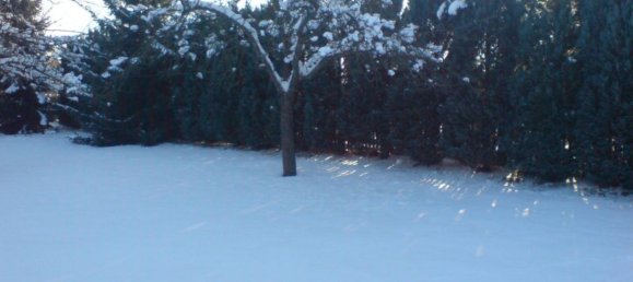 Бунгало с 1 спальней в Лейпциг, Германия № 371884 14