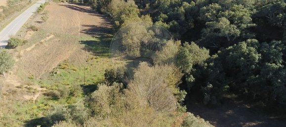 3 Schlafzimmer Haus in Saboia, Portugal, Nr. 39165 7