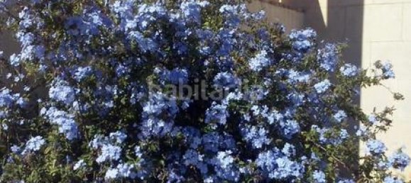 4 bedrooms House in Mutxamel, Spain No. 109629 15