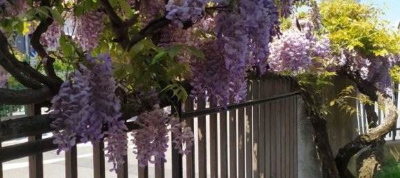 3-Zimmer Villa in Lentate sul Seveso, Italy, Nr. 290207 25