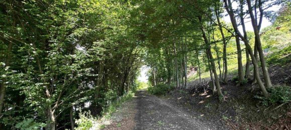 Terreno em Lannach, Austria N.º 50060 8