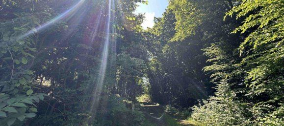 Terreno em Lannach, Austria N.º 50060 10