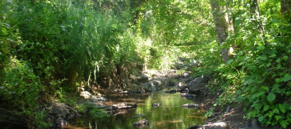 1 bedroom House in Odeceixe, Portugal No. 53274 9