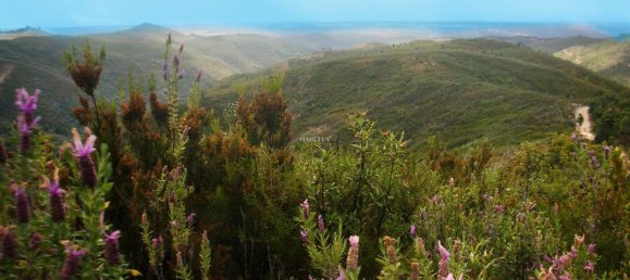 1 bedroom House in Odeceixe, Portugal No. 53274 8