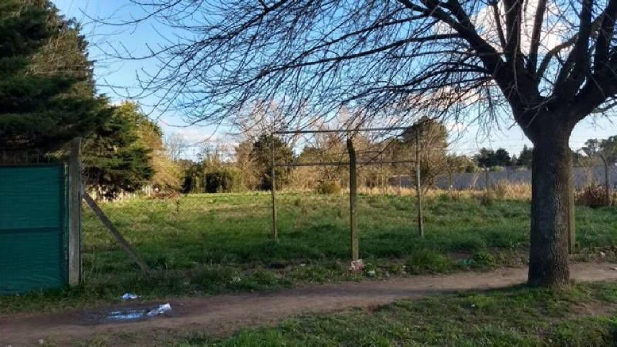 Grundstück in Pilar, Argentina, Nr. 44675