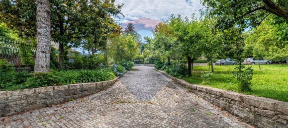 9 غرف نوم منزل في Dornelas, Portugal رقم 30647 16