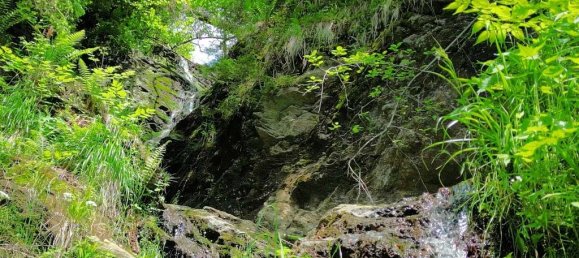 Grundstück in Afritz am See, Austria, Nr. 137300 5