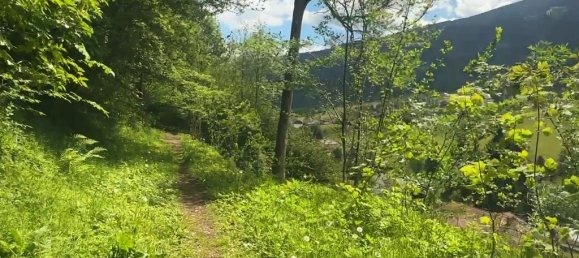 Grundstück in Afritz am See, Austria, Nr. 137300 3