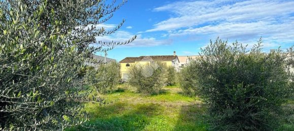 4غرفة شقة في Colonnella, Italy رقم 43329 6