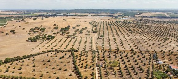 5 غرف نوم منزل في Arraiolos, Portugal رقم 177661 43