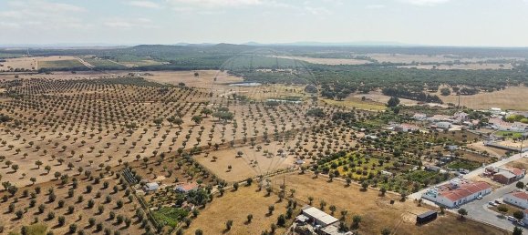 5 غرف نوم منزل في Arraiolos, Portugal رقم 177661 44