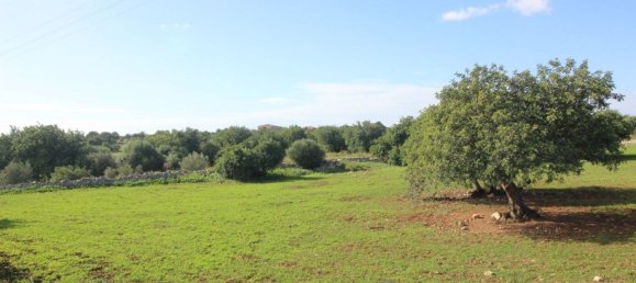 7 Schlafzimmer Haus in Modica, Italy, Nr. 360786 43