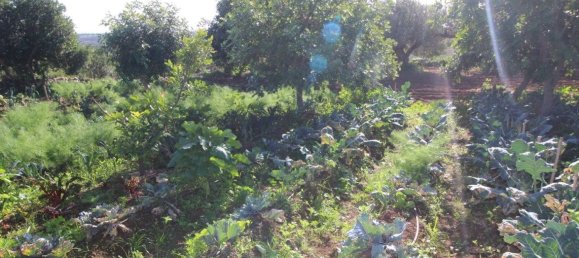 7 Schlafzimmer Haus in Modica, Italy, Nr. 360786 39