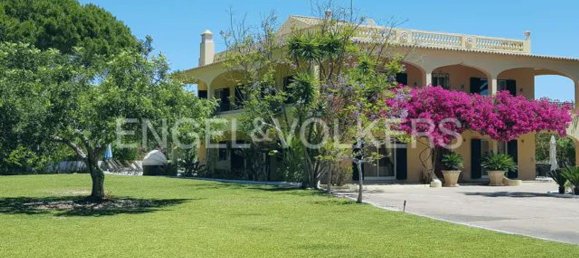 7 غرف نوم منزل في Quarteira, Portugal رقم 114434 6