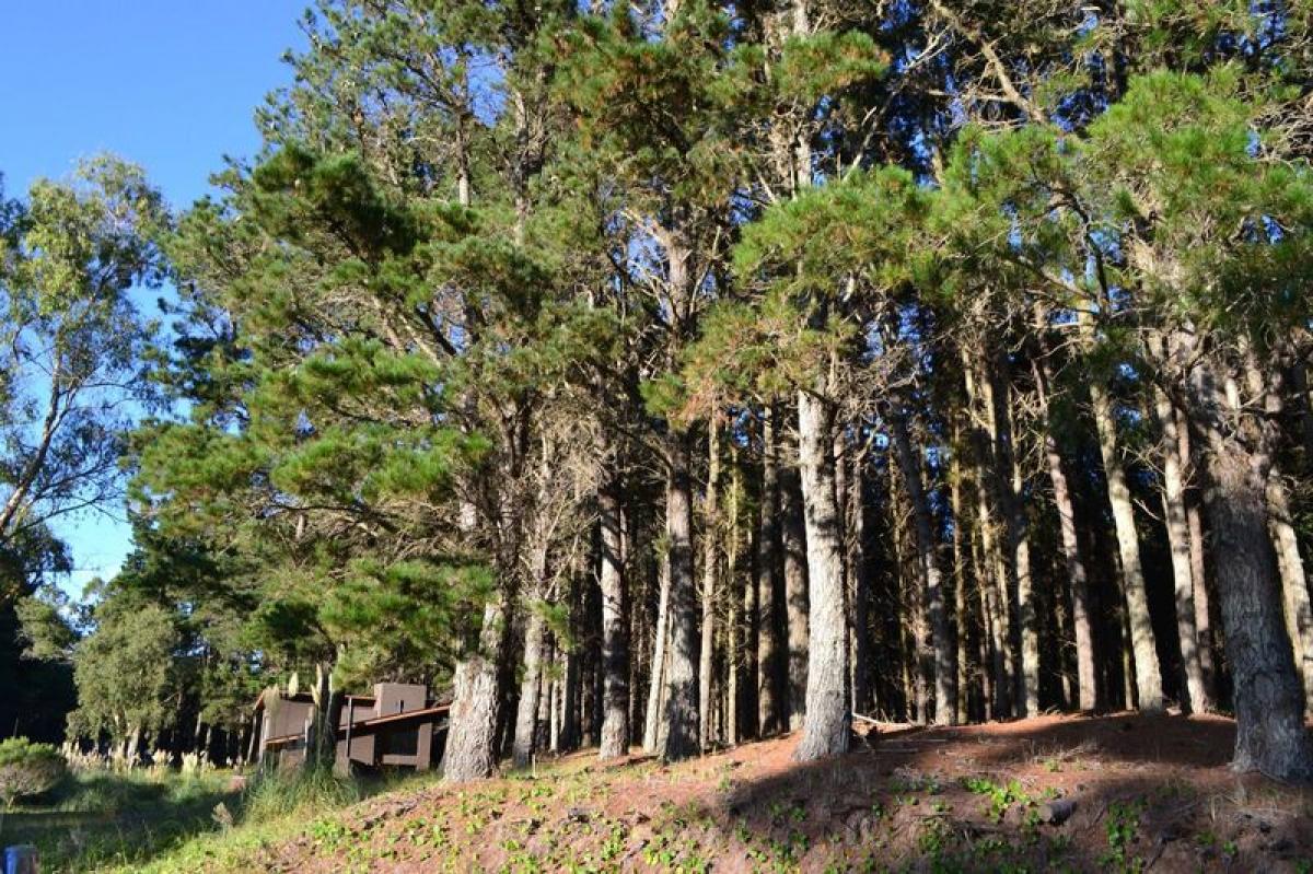  Land in Mar del Plata, Argentina No. 118405