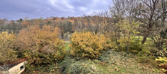 7 rooms Commercial property in Kassel, Germany No. 208611 12