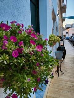 5-salle Propriété commerciale à Salve, Italy No. 208974