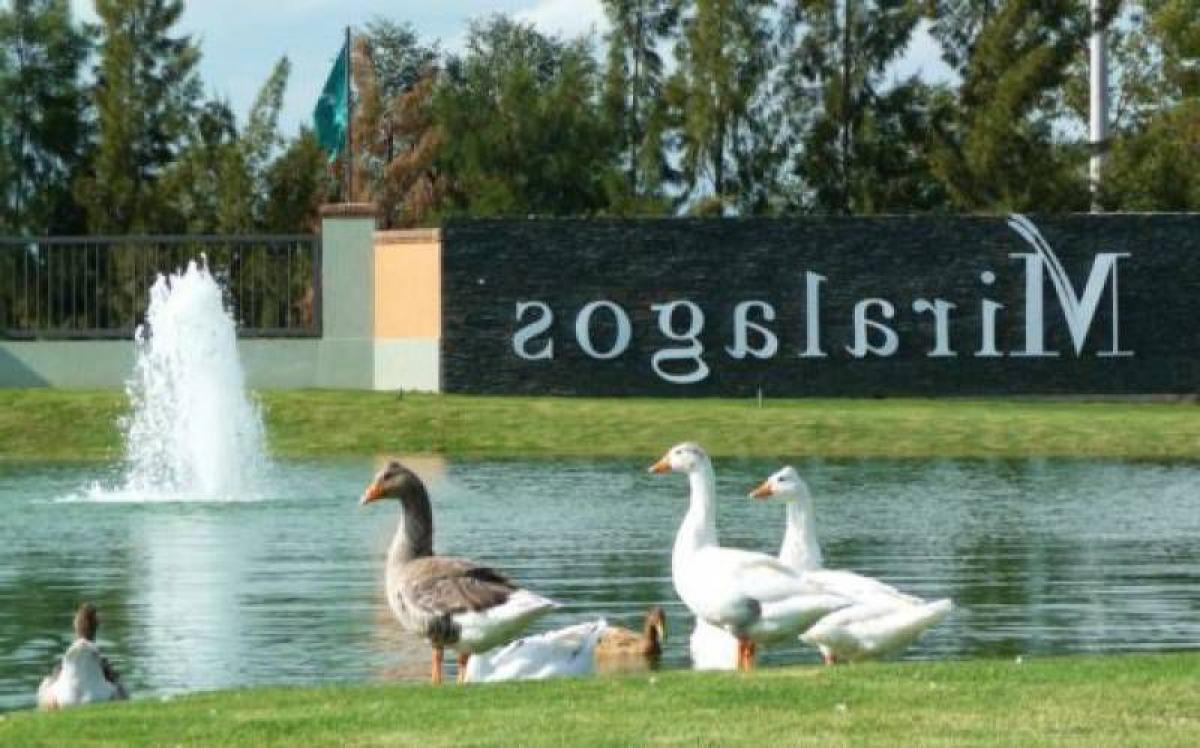  قطعة أرض في Campo Creado, Argentina رقم 43075