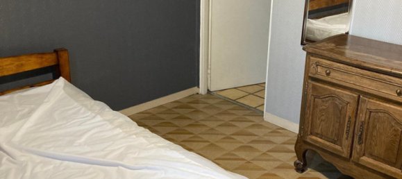 394m² Building in La Chapelle-Saint-Mesmin, France No. 236213 9