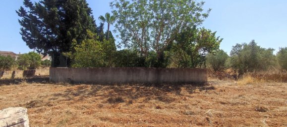 6 غرف نوم منزل في Algaida, Spain رقم 162534 29