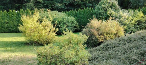 8-Zimmer Villa in Kaumberg, Austria, Nr. 254263 5