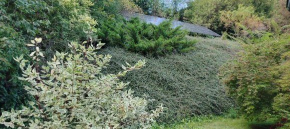 8-Zimmer Villa in Kaumberg, Austria, Nr. 254263 6