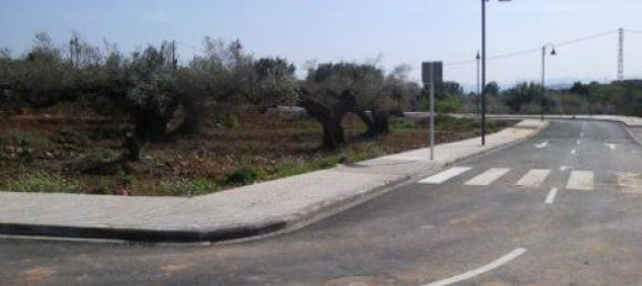 397m² Land in Sant Joan de Moro, Spain No. 169183 8