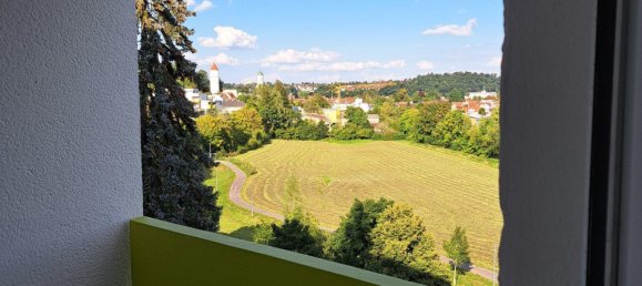 Квартира с 3 спальнями в Биберах, Германия № 292796 9