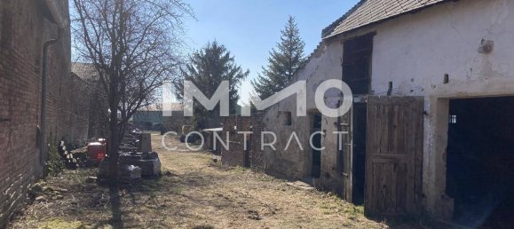 Дом с 4 комнатами в Гроскрут, Австрия № 177560 7