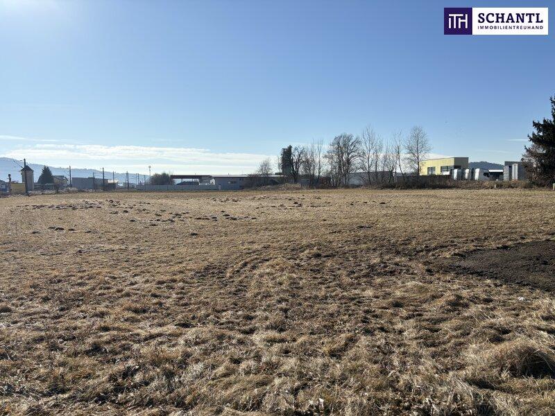 Terreno en Wildon, Austria 16936 m² No. 195597