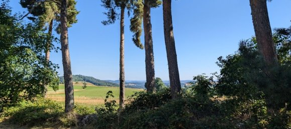 5-salle Maison à Yssingeaux, France No. 321823 4