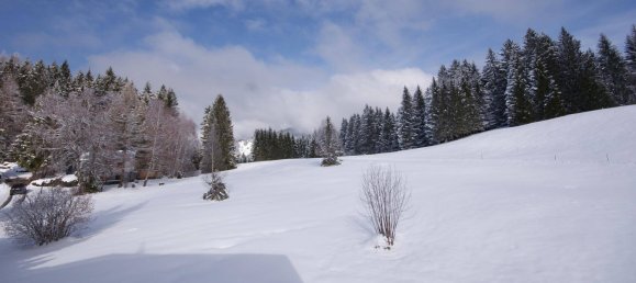 3 rooms Apartment in Ubersaxen, Austria No. 178606 7