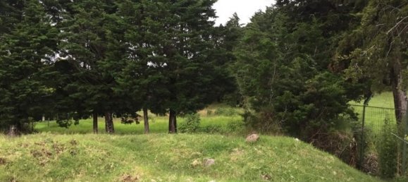  Land in San Rafael, Costa Rica No. 1648 2