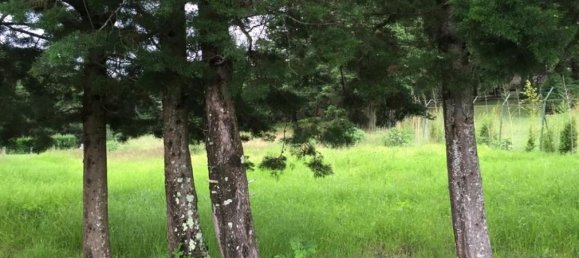  Land in San Rafael, Costa Rica No. 1648 3