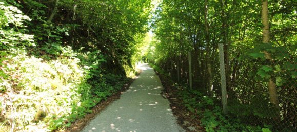 890m² Land in Hallstatt, Austria No. 167637 19