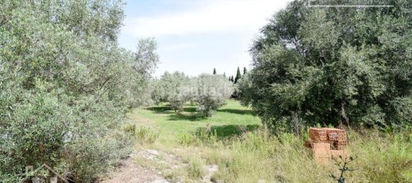 4 bedrooms House in Nules, Spain No. 129429 18