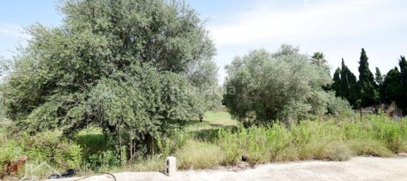 4 bedrooms House in Nules, Spain No. 129429 24