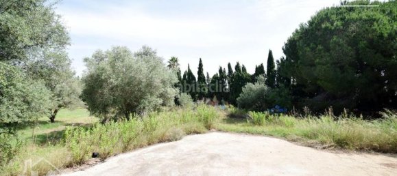 4 bedrooms House in Nules, Spain No. 129429 21