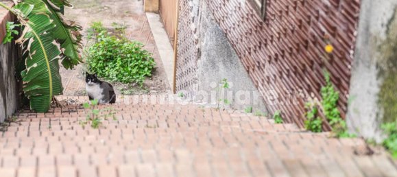 17 Schlafzimmer Villa in Gravina di Catania, Italy, Nr. 190702 19