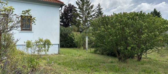 5 rooms House in Weikendorf, Austria No. 251315 19
