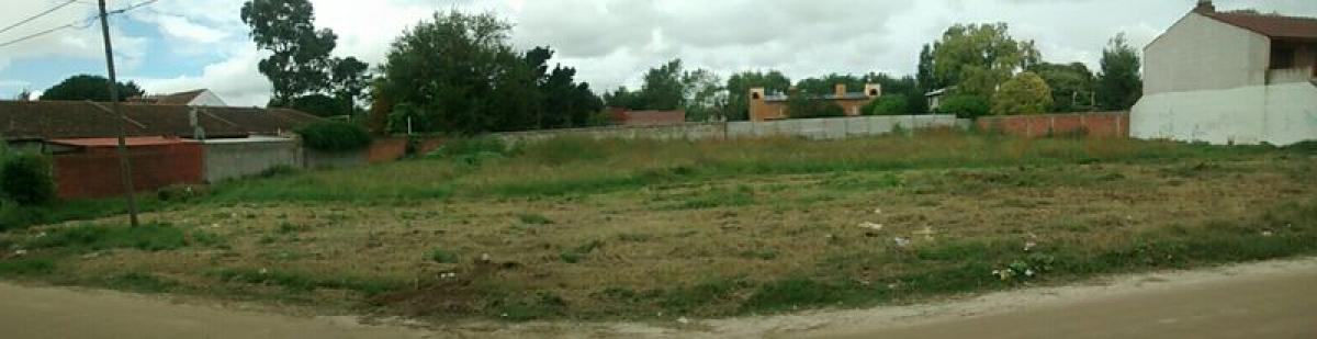  قطعة أرض في Mar del Plata, Argentina رقم 118721