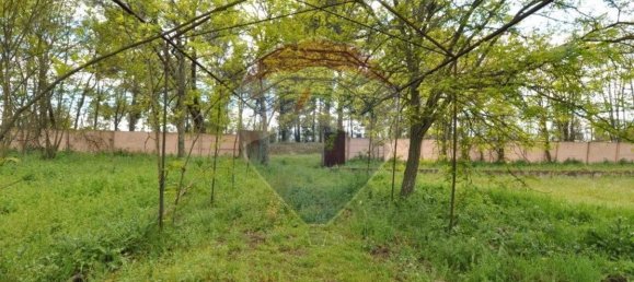 9 bedrooms House in Tramagal, Portugal No. 29952 8