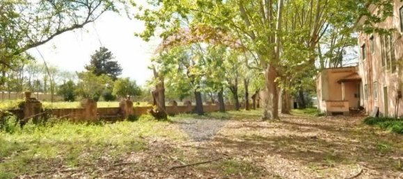 9 bedrooms House in Tramagal, Portugal No. 29952 6