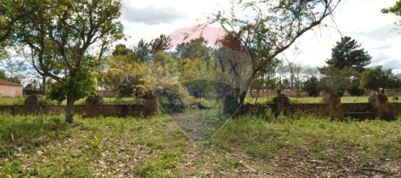 9 bedrooms House in Tramagal, Portugal No. 29952 7