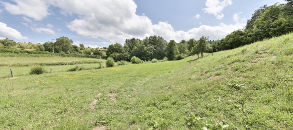 Casa T4 em Ligsdorf, France N.º 89166 5