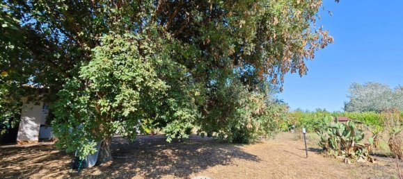 4 Schlafzimmer Villa in Latina, Italy, Nr. 308562 22